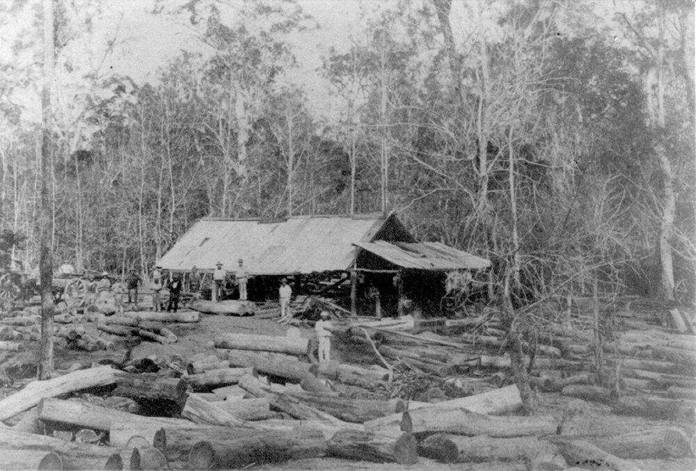 Clugston &amp; Ireland's sawmill, East Cooroy, ca 1910