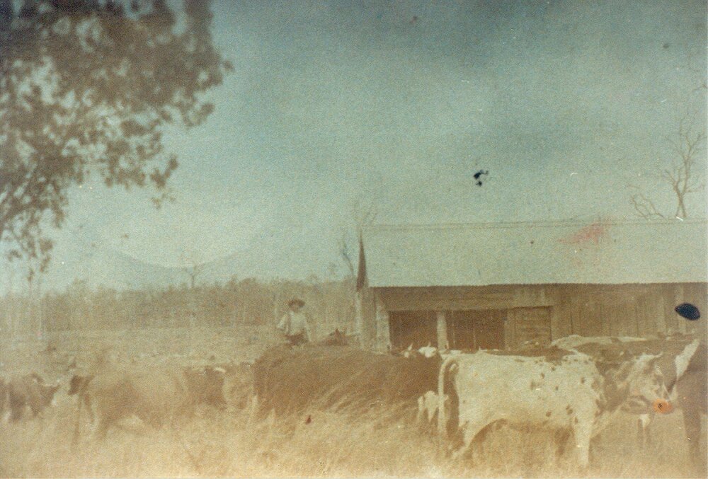 Bert Lake, 'Ringwood', Cooroibah, 1910
