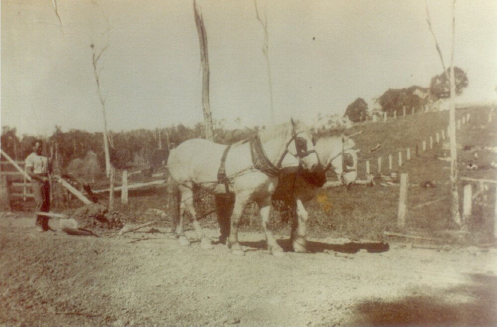 Edgar Playford, field work, Pomona, ca 1928