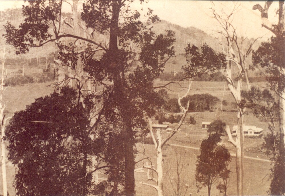 'Broadmeadows', Kin Kin, 1931