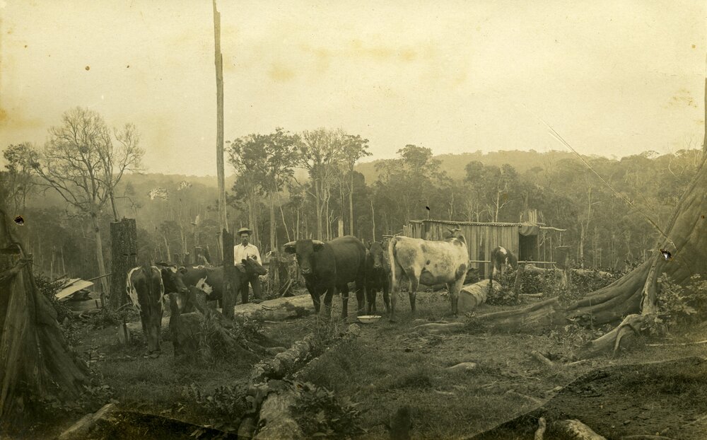 Farmland, Pomona, ca 1920s