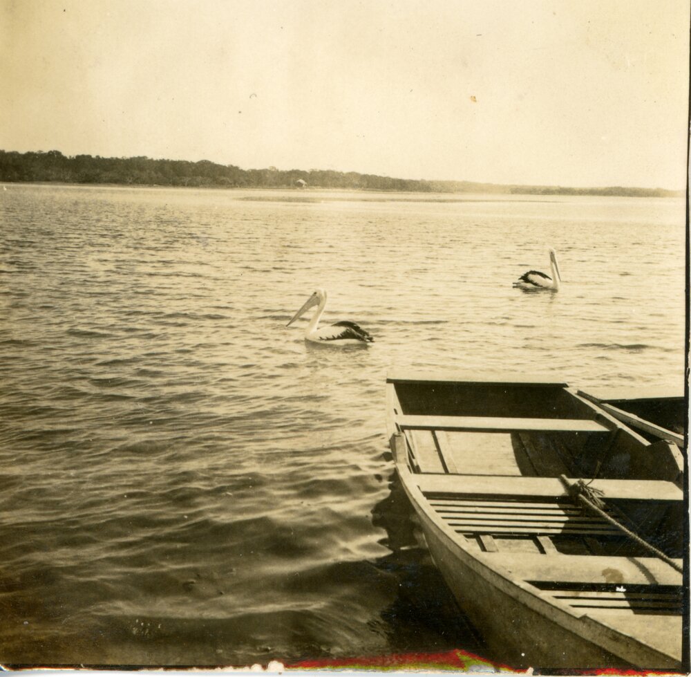 Pelicans and boats, Noosa River, Munna Point, Noosaville, ca 1930s