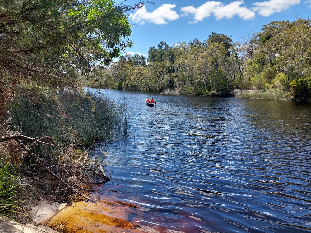 Canoeing, Noosa River, Harry's Hut day-use area, Harry Hut Road, Como, 10 September 2025