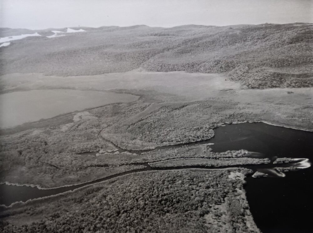 Aerial view, Noosa River and Lake systems, Noosa Heads