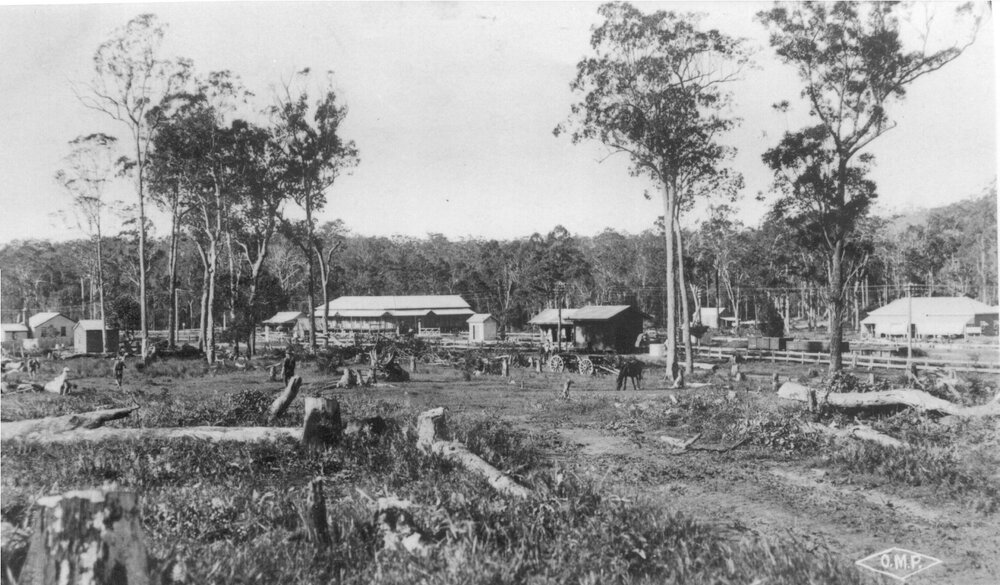 Early settlement, Maple Street, Cooroy, Easter 1910