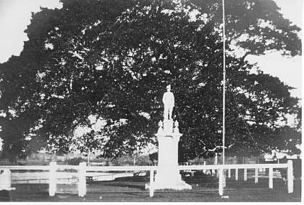 Fig Tree and War Memorial, Tewantin