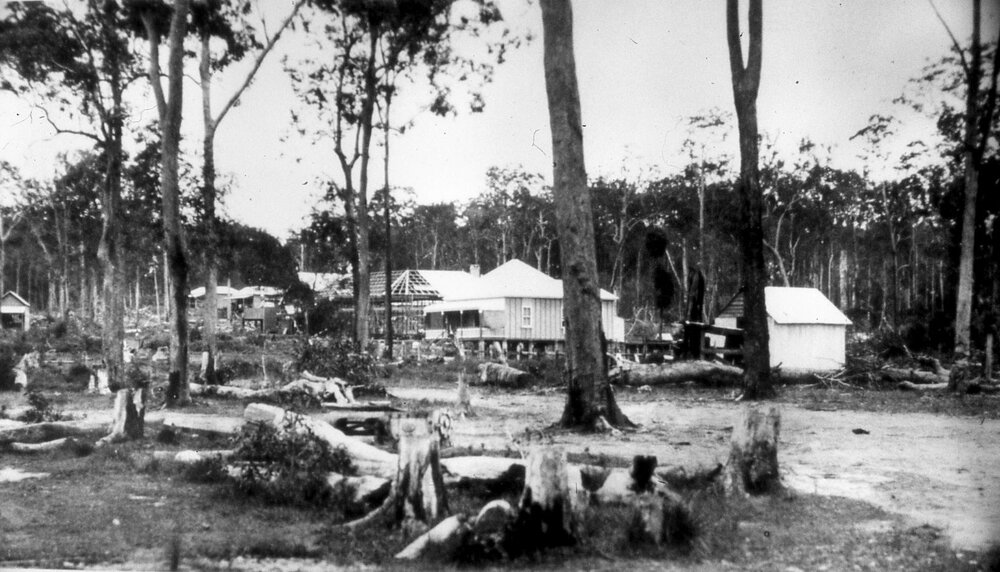 Early settlement, Maple Street, Cooroy, ca 1910