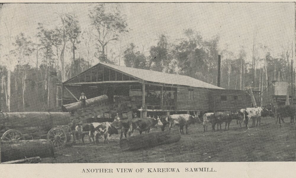 Sawmill, Kareewa, ca 1911
