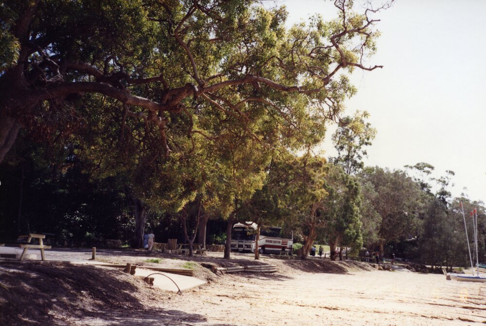 Foreshore, Lake Cootharaba, Boreen Point, 8 September 1992