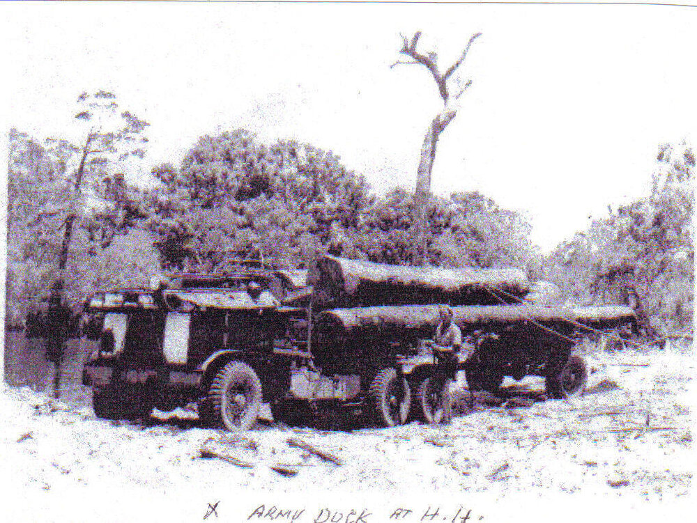 Army Duck timber transporter, Noosa North Shore