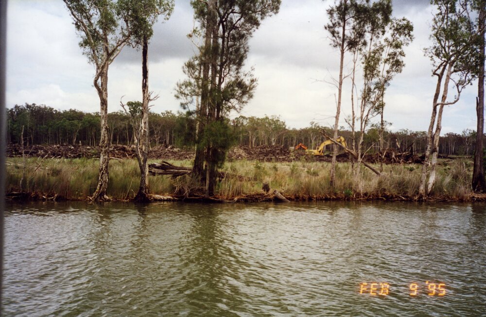 Land clearing, Noosa River, 9 February 1995