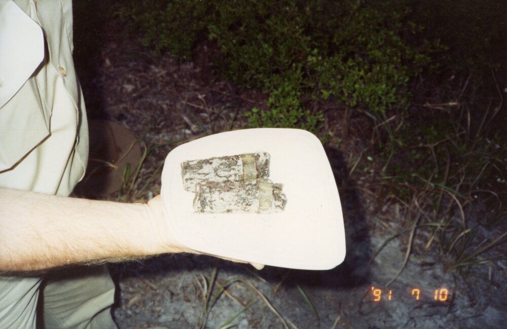 Unexploded ordinance, Sunrise Beach, 10 July 1991