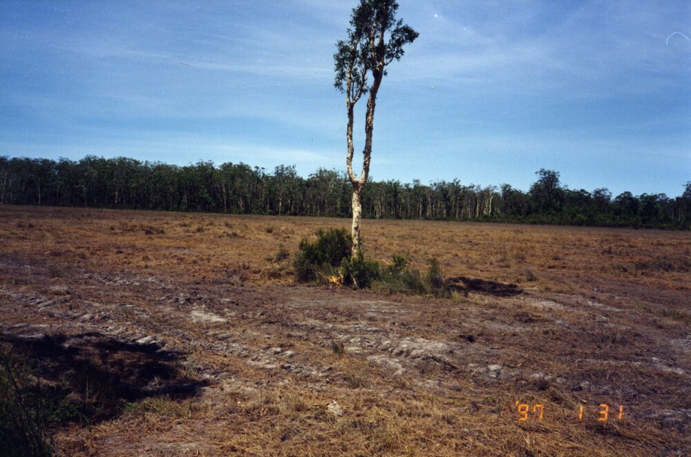 Cleared land for development, 31 January 1997