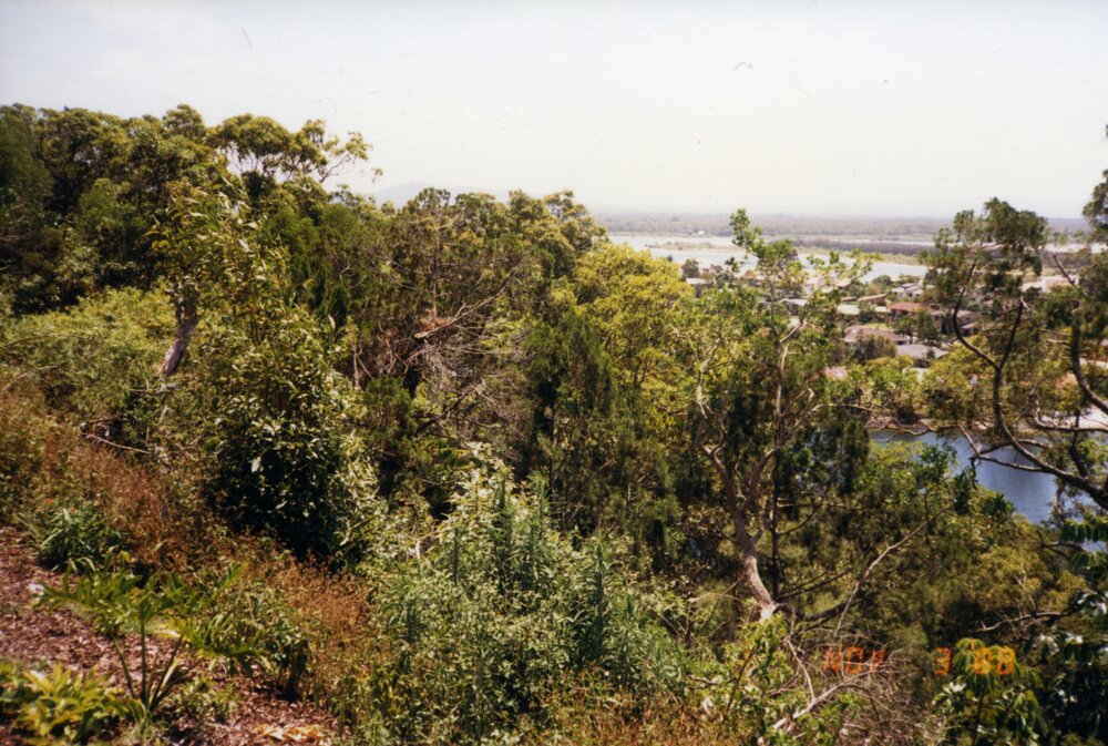 Views down to Hay's Island, Noosa Heads, 3 November 1988