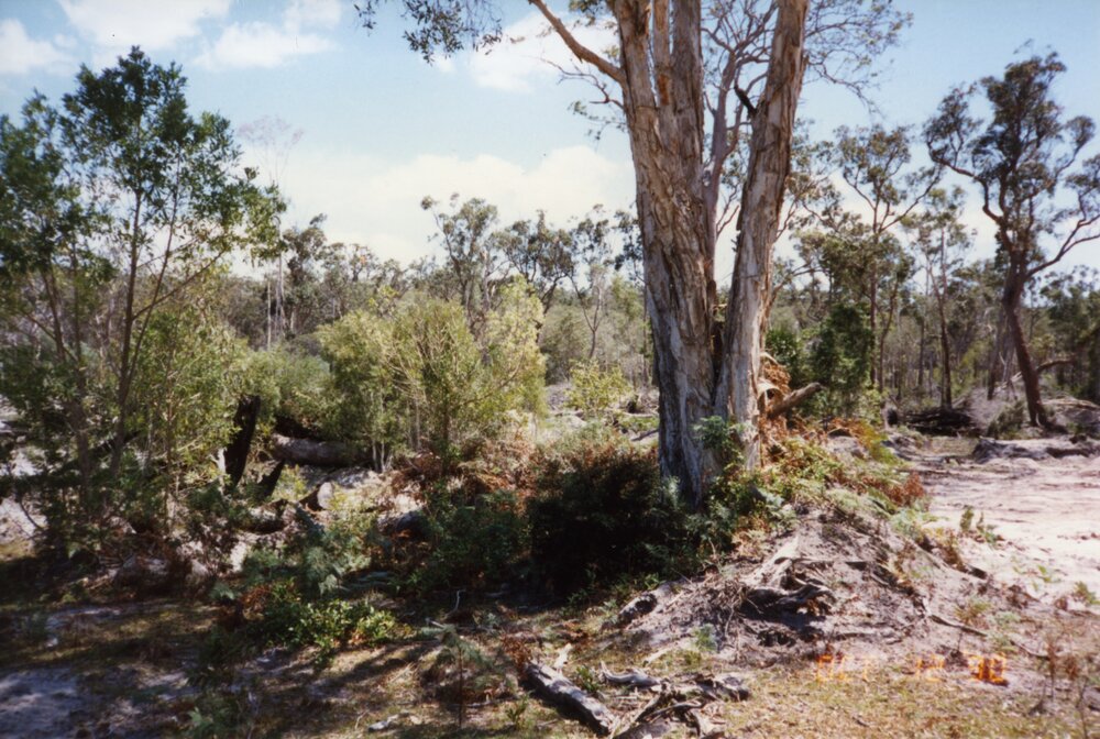 Land clearing, 12 October 1990