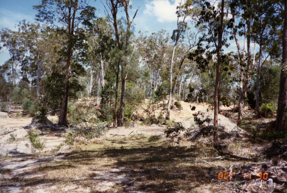 Land clearing, 12 October 1990