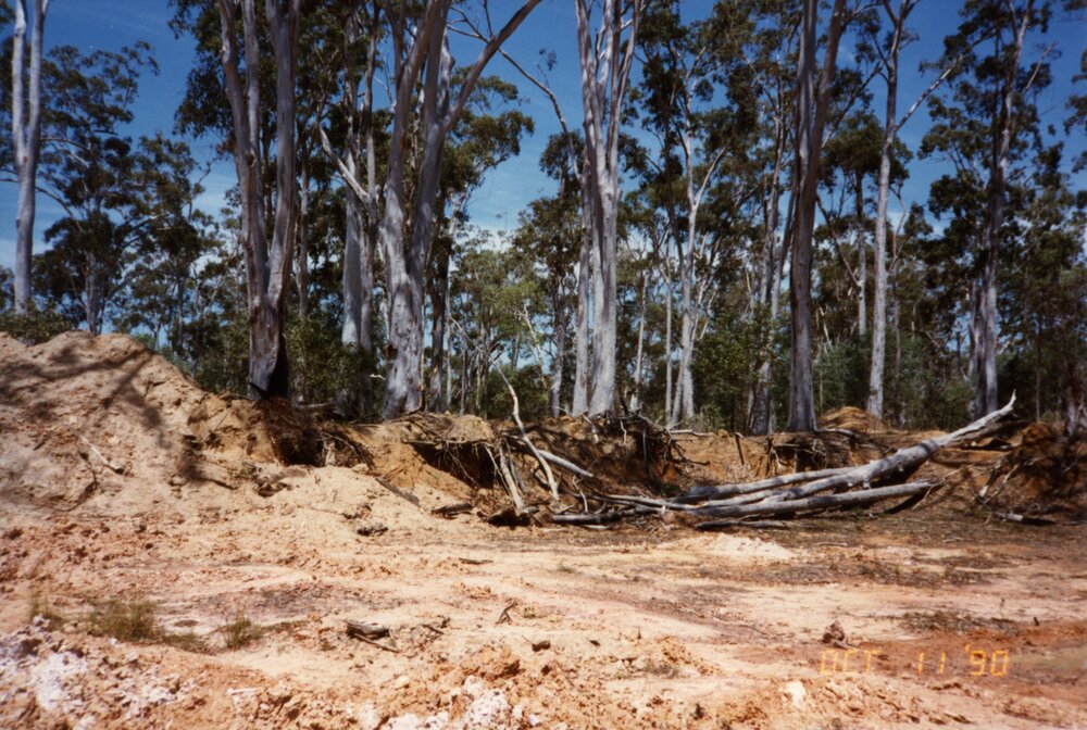 Land clearing, 11 October 1990