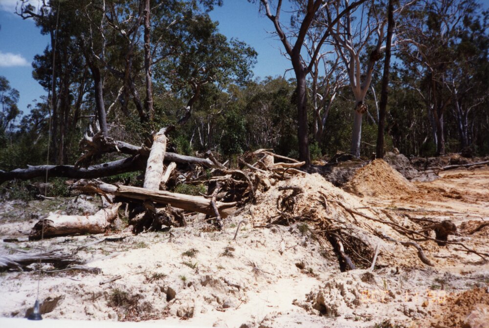 Land clearing, 12 October 1990