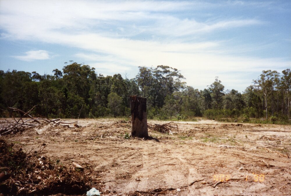 Land Clearing, 1 November 1990