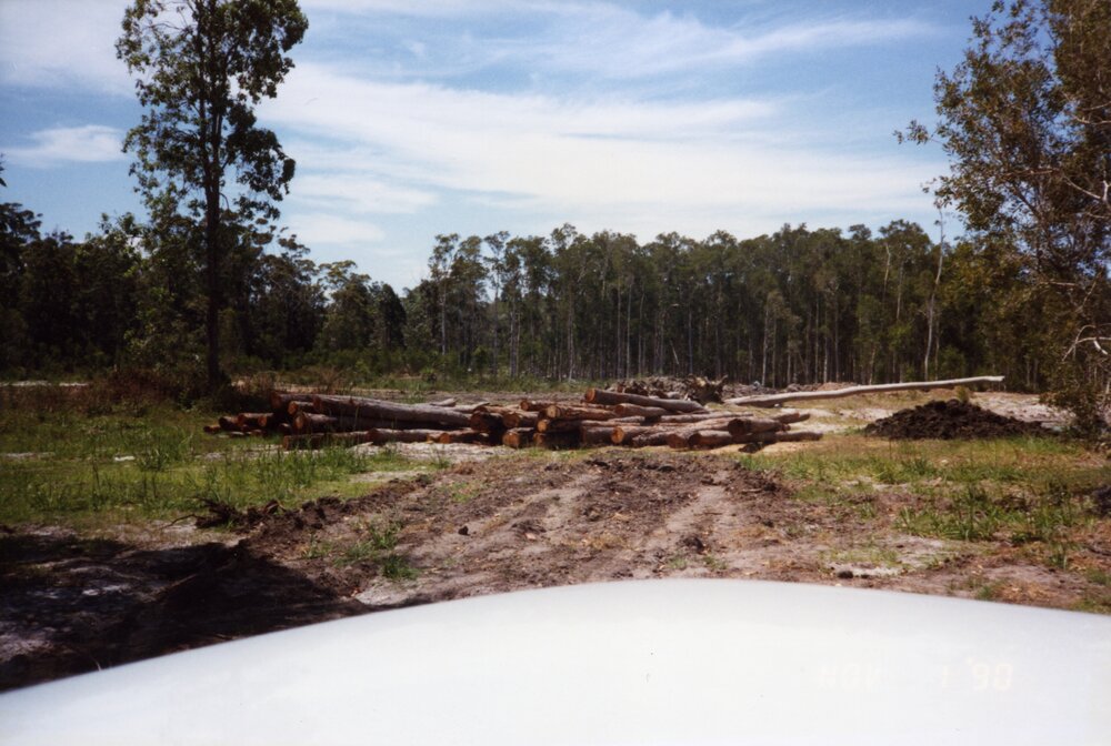Land clearing, 1 November 1990