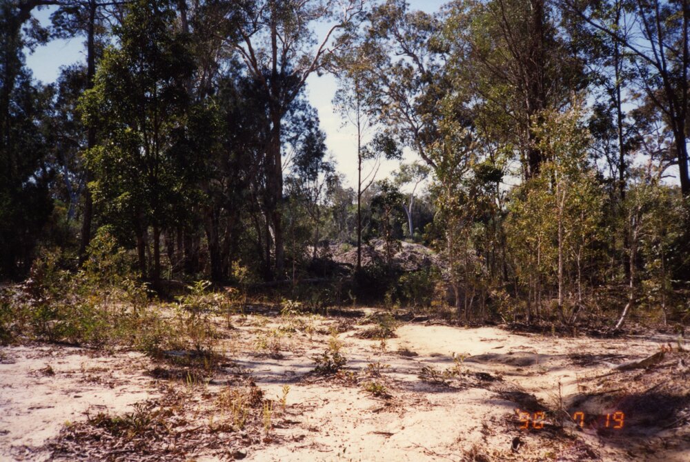 Land clearing, 19 July 1990