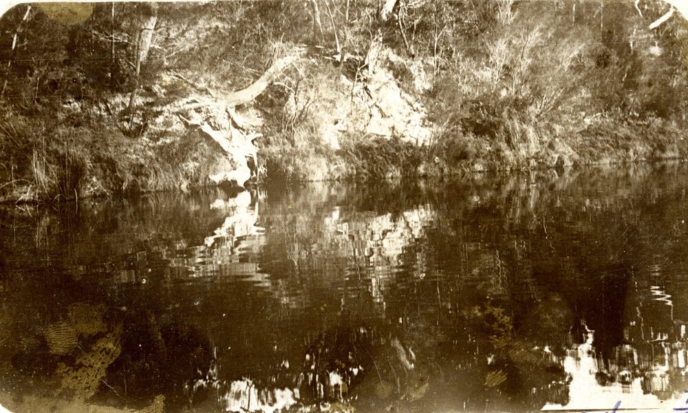 Reflections, Noosa River, 7 November 1911