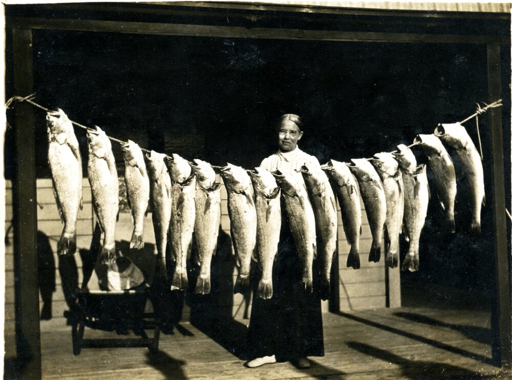 Big catch, Noosa River, 1930