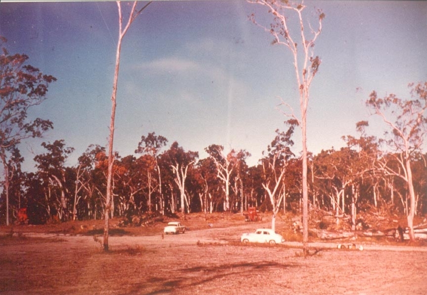 Housing development, cnr Lakeview Drive and Pines Avenue, Lake Cooroibah, ca 1961