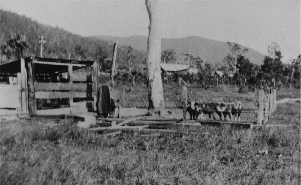 Cowbales, Armitage Family farm, Pomona