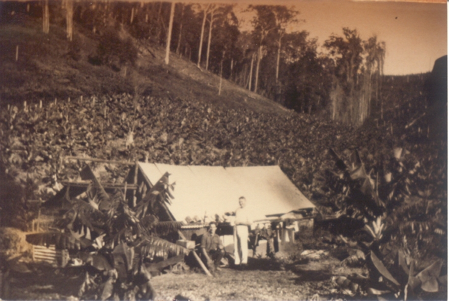 Bunney Family banana farm, Kin Kin, 1927