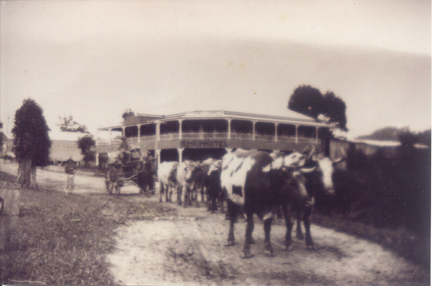 Carrier, Terry Crang, Kin Kin, March 1925