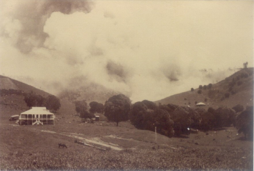 Scrub burn, banana farm, Middle Creek, Federal, 1929