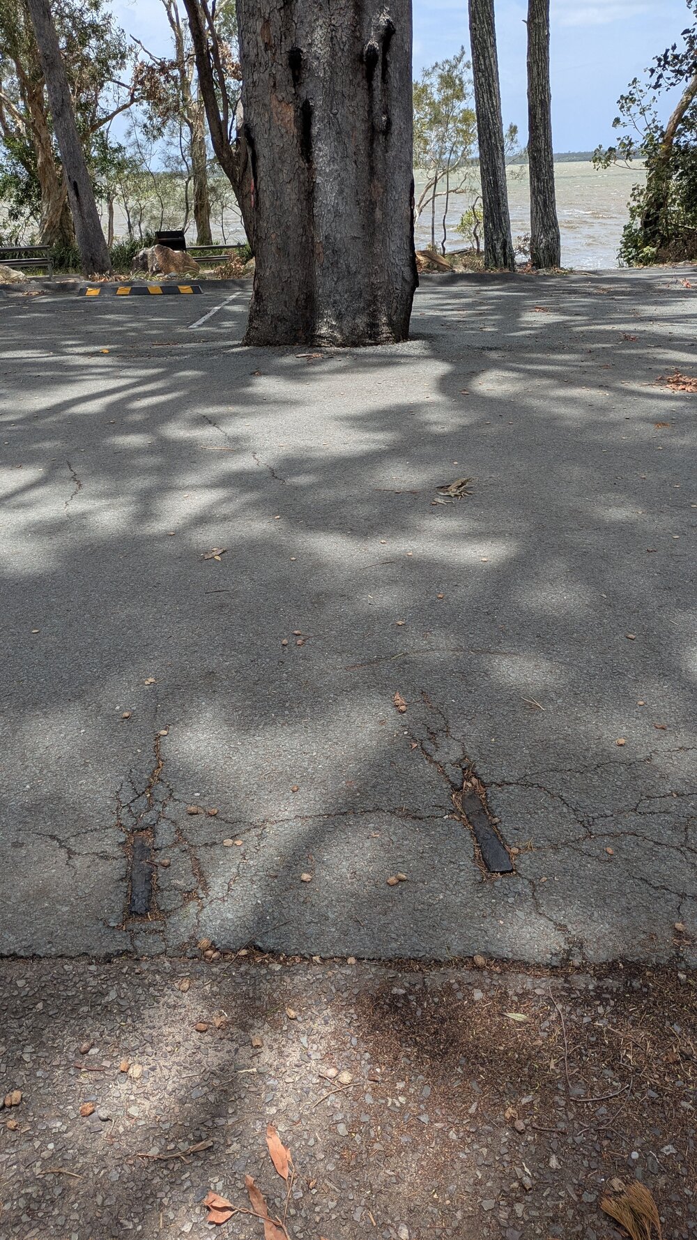 Rail track remnants, Lake Cootharaba Sailing Club, Lake Cootharaba, Boreen Point, 17 December 2025