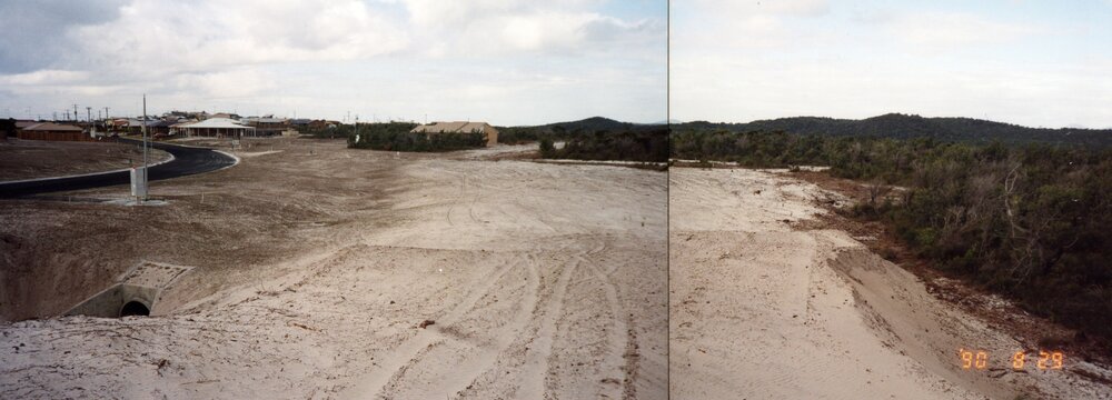 Subdivision, Sunshine Beach, 29 August 1990