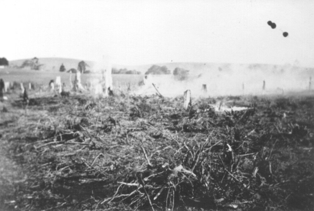 Clearing, Pinbarren Victory plot, Pinbarren School Reserve, Kin Kin Road, Pinbarren, 9 August 1941