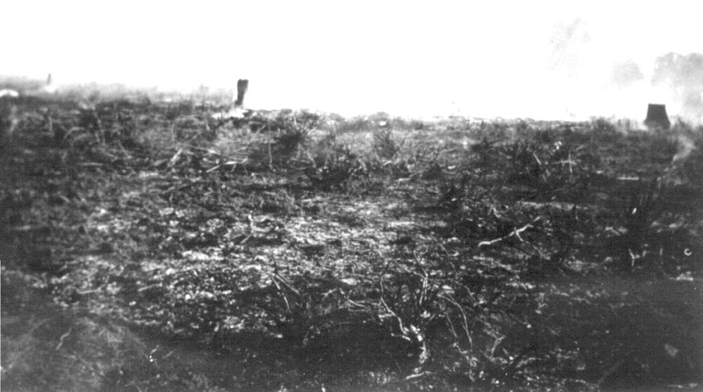 Clearing, Pinbarren Victory plot, Pinbarren School Reserve, Kin Kin Road, Pinbarren, 9 August 1941