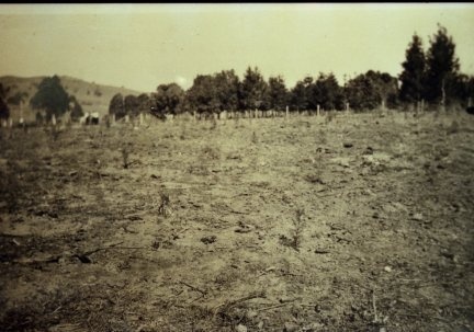 Pinbarren Victory plot, Pinbarren School Reserve, Kin Kin Road, Pinbarren, 1941