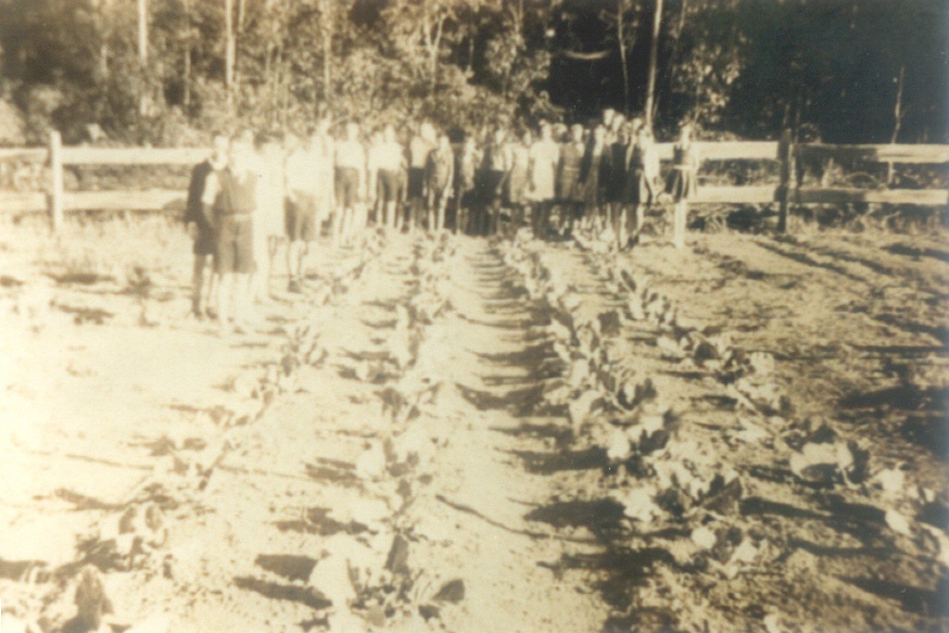 Members, Pomona State School's Forestry Club, Kin Kin Road, Pinbarren, 13 July 1942