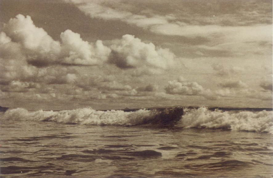 Ocean views, First Point, Noosa Heads