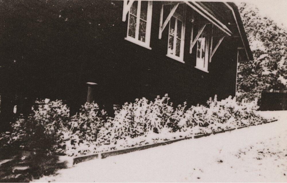 Garden beds, Pomona State Rural School, Pomona, 21 August 1943