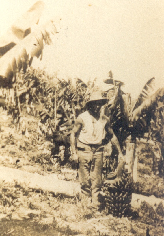 Banana farmer Fred Ledger, Ironstone Creek, Tuchekoi