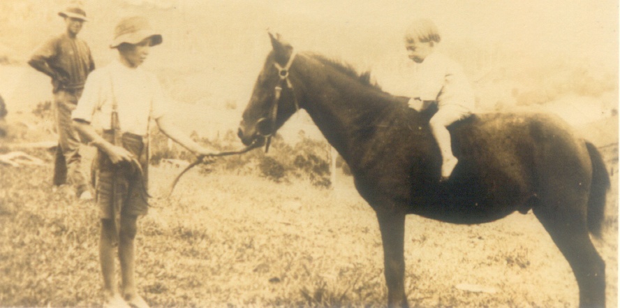 Harry and Ivy Robb, Skyring Creek, Federal, ca 1925