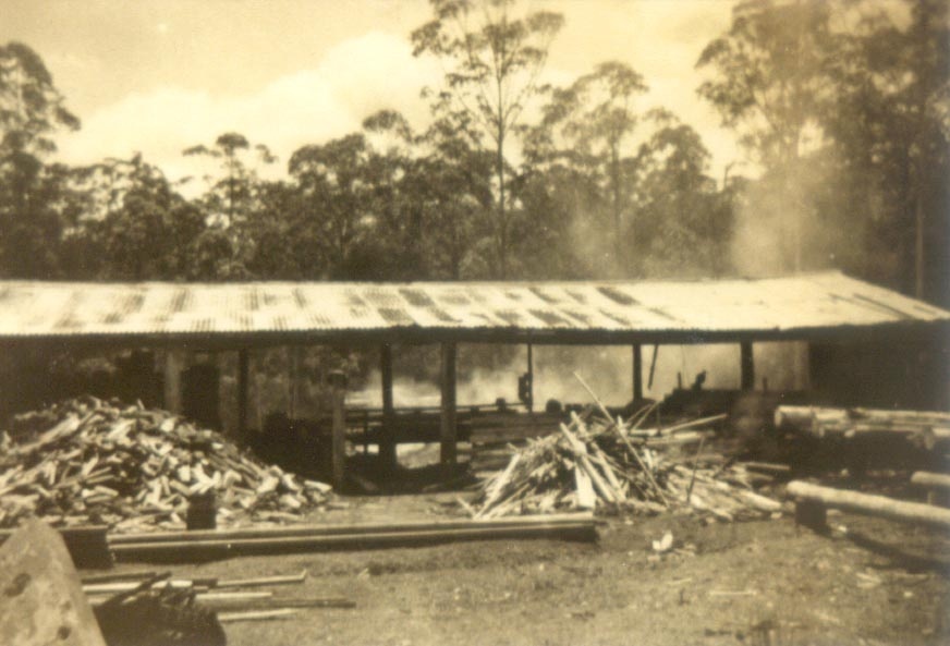 Houghton Sawmill, Ringtail Creek, Kareewa, Cootharaba, ca 1940s