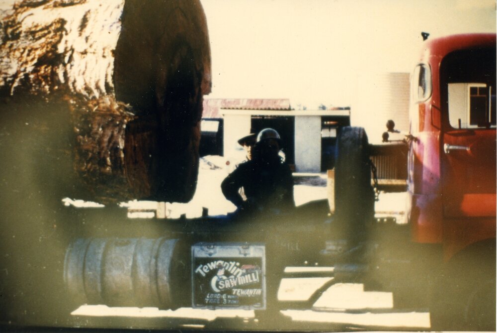 Timber transportation, Pomona, ca 1955