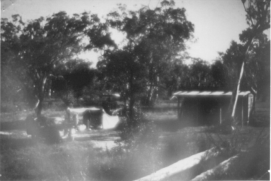 Logging Hut, Noosa North Shore, 1956
