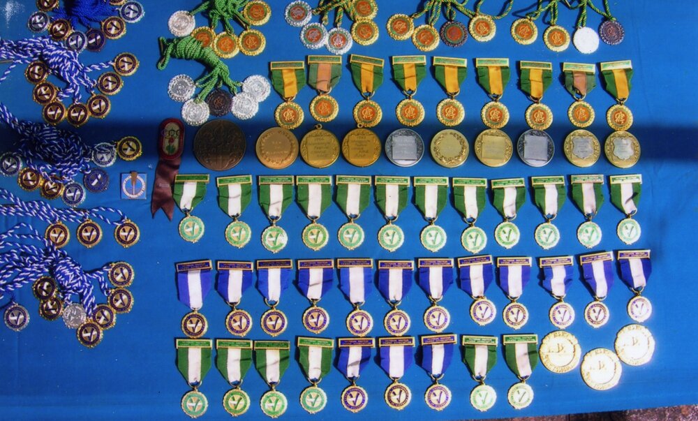 Sporting medals, Bryan Harper
