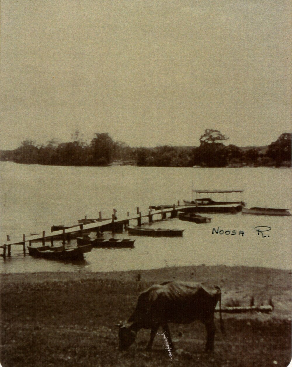 River views, Tait's Jetty, Noosa River, Tewantin, ca 1920