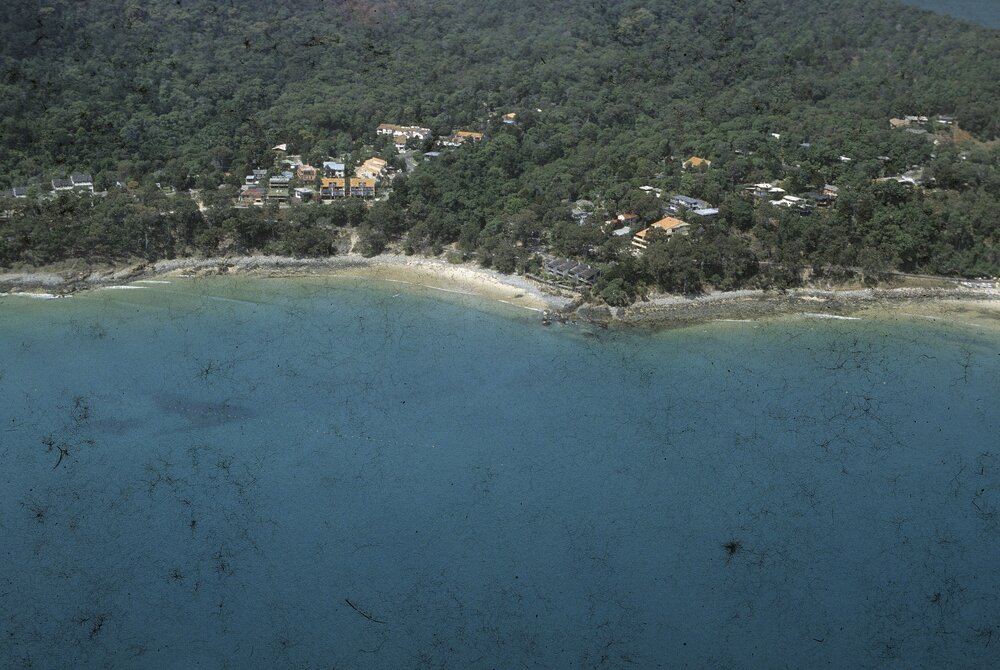 Aerial view, Little Cove and First Point, Noosa Heads, ca 1980s