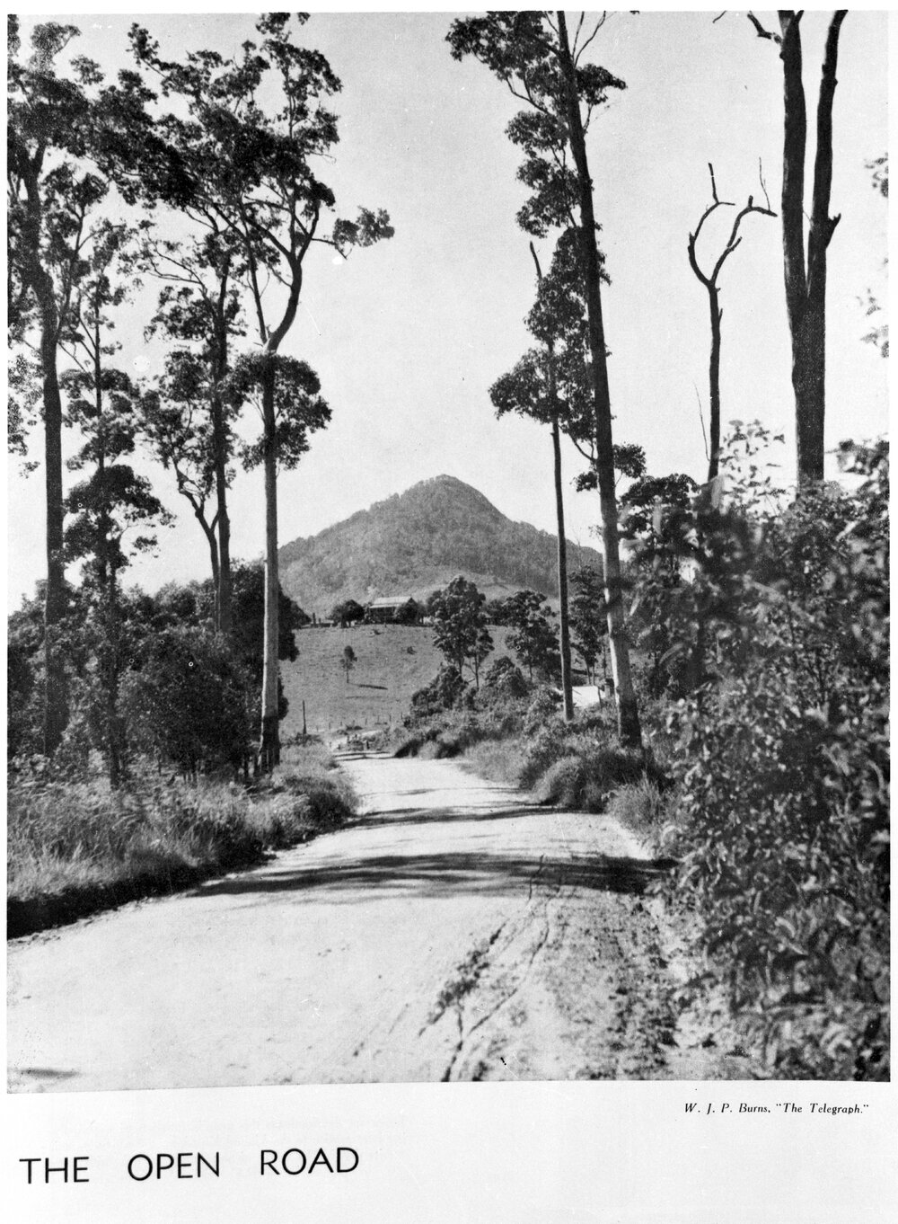 'The Open Road', Pinbarren, ca 1931