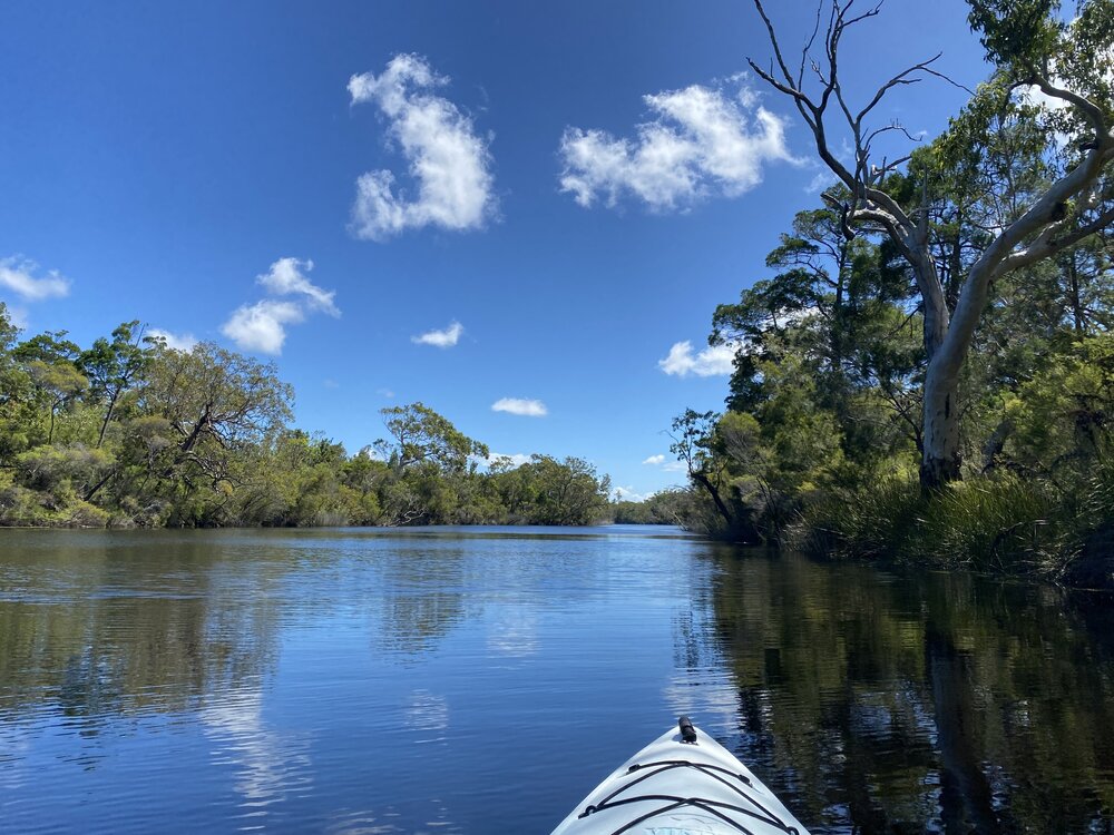 Riverviews, Noosa River, Como, 10 February 2025